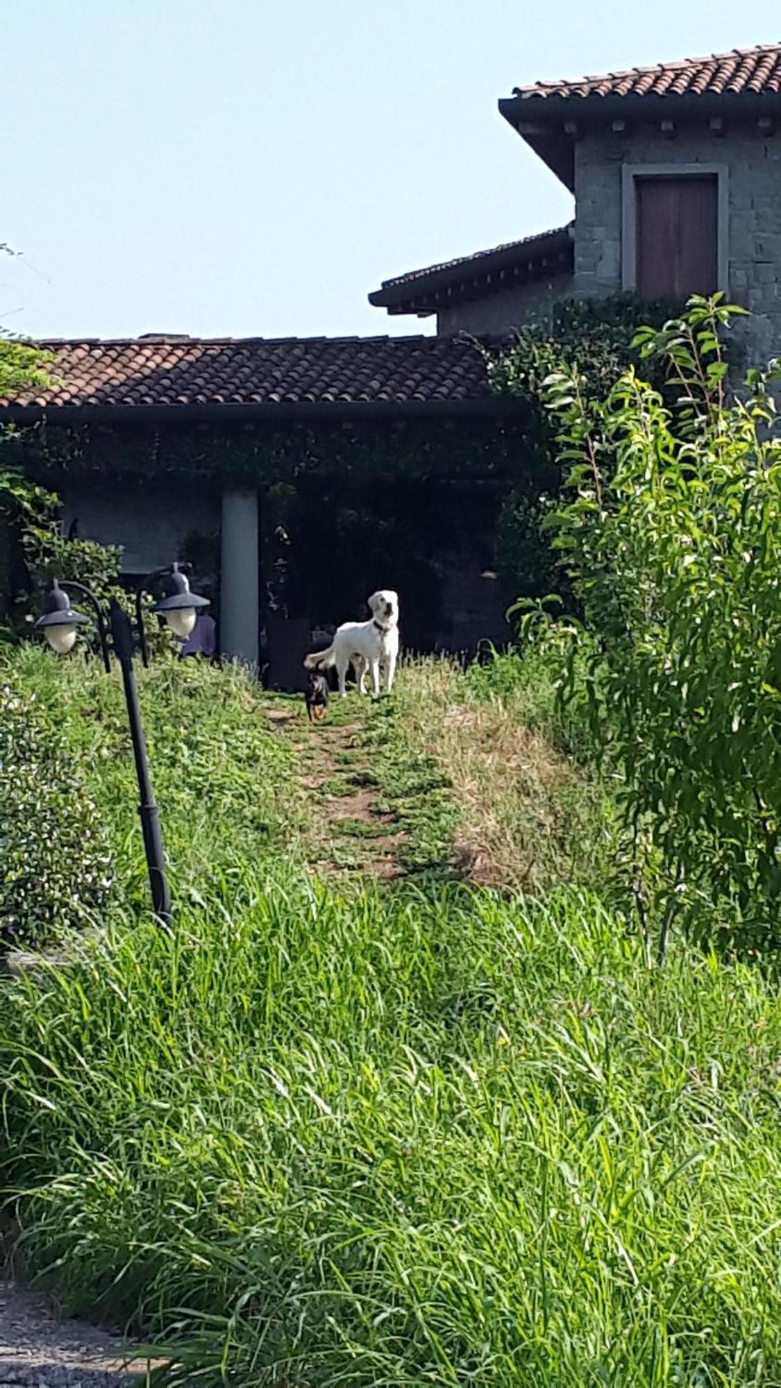 B&B Villa Melograno Pontoglio Extérieur photo